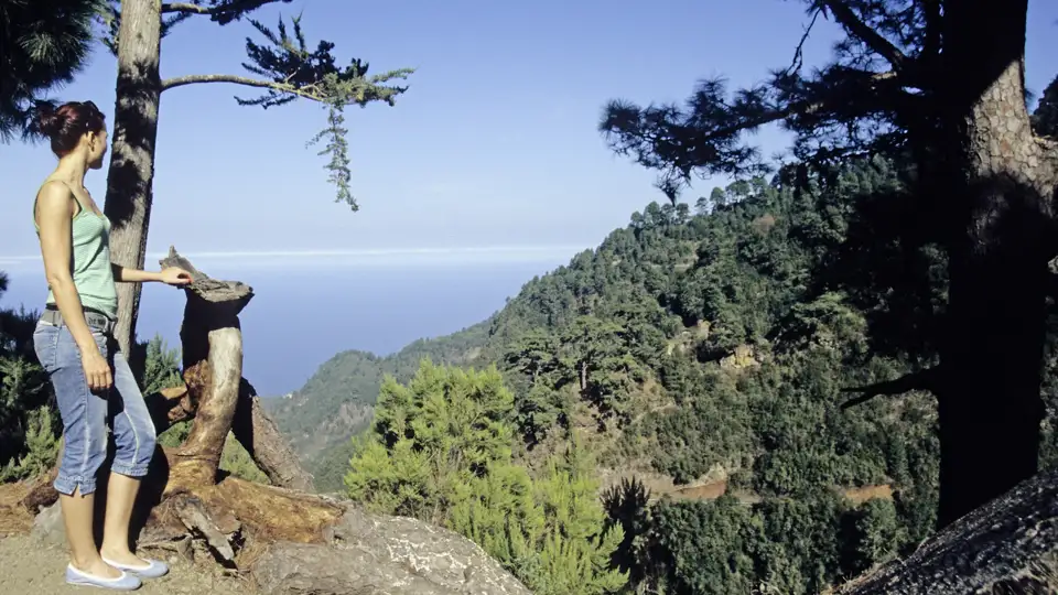 Auf unserer me & more-Reise nach La Palma erwarten Sie atemberaubende Ausblicke und unvergessliche Naturerlebnisse, darunter spektakuläre Blicke auf die wilde Inselnatur der Kanaren.