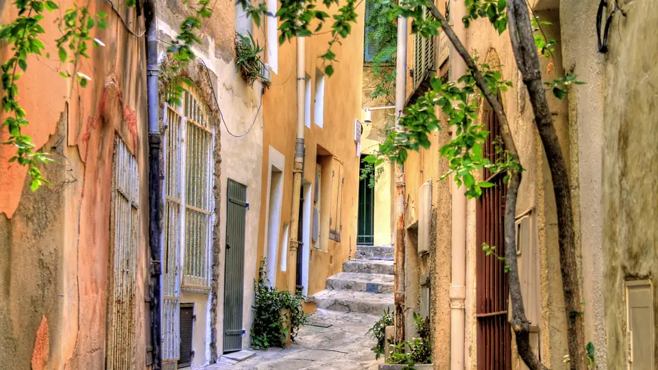 Auch wenn Saint-Tropez vor allem für seinen Luxus bekannt ist, hat es sich an vielen Stellen seinen ursprünglichen Charme erhalten. Ihr Studiosus-Reiseleiter kennt beide Seiten und führt Sie zu den schönsten Plätzen.
