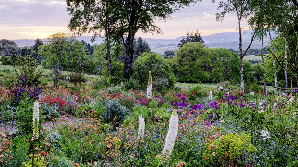 Auf unserer Rundreise mit Studiosus bewunder wir die üppigen und bunten Staudengarten mit Blick auf die sanften, grünen Hügel des Hunting Brook Gardens in Irland bei Dämmerung.