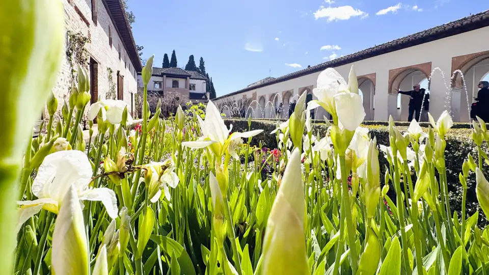 Auf unserer Rundreise besuchen wir den Garten des Generalife mit seinen Blumenbeeten und den Wasserspielen der Alhambra in Granada.