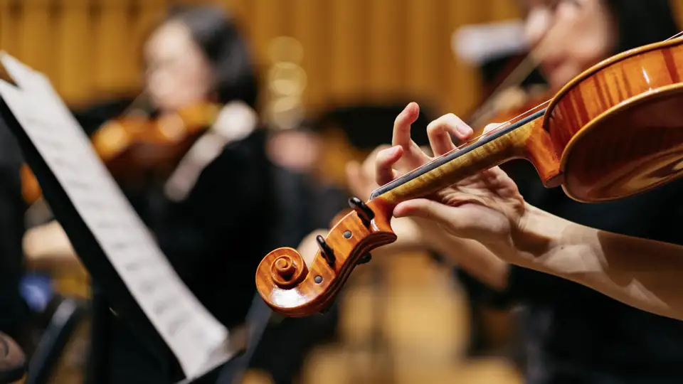 Lauschen Sie den Violinen auf Ihrer Eventreise mit Studiosus.
Ein Konzert ist einwunderbares Highlight Ihrer Gruppenreise.