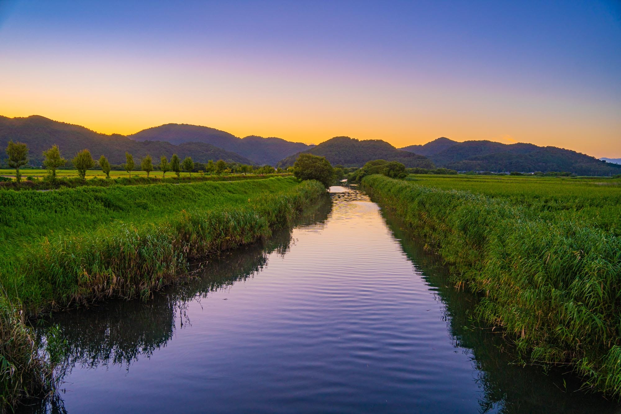 Die Obst- und Gemüsefelder des historischen Anbaugebiets „Huerta“ und südlich der Naturpark Albufera mit einem riesigen Süßwassersee, der als Vogelparadies gilt.