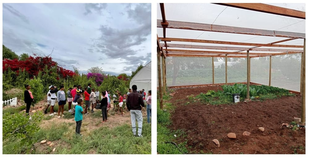 Die Gewächshäuser im St. Luigi Scrosoppi Sozialzentrum Oudtshoorn in Südafrika