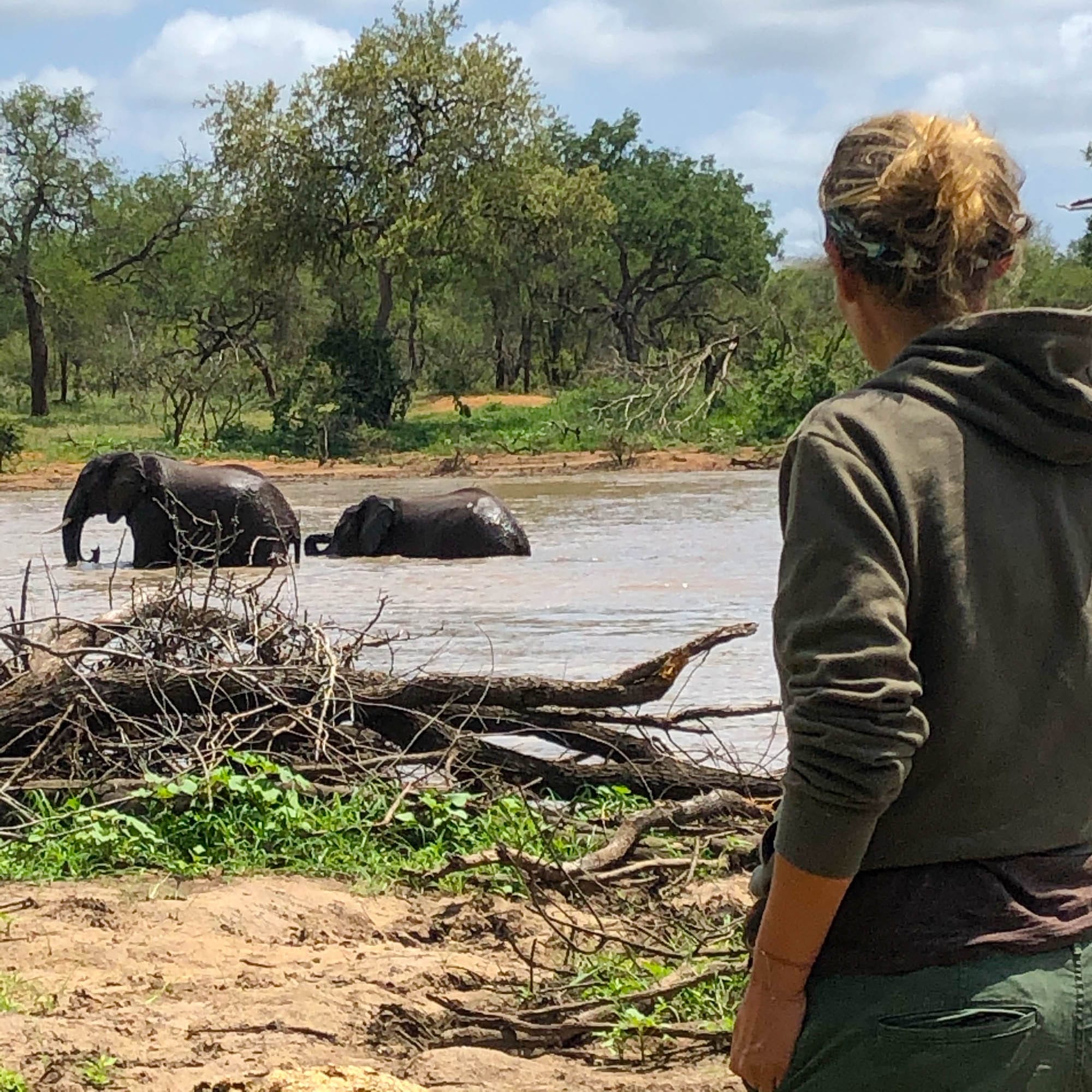 Waltraud Hable beobachtet Elefanten im Wasser beim Rangerkurs im südafrikanischen Busch.