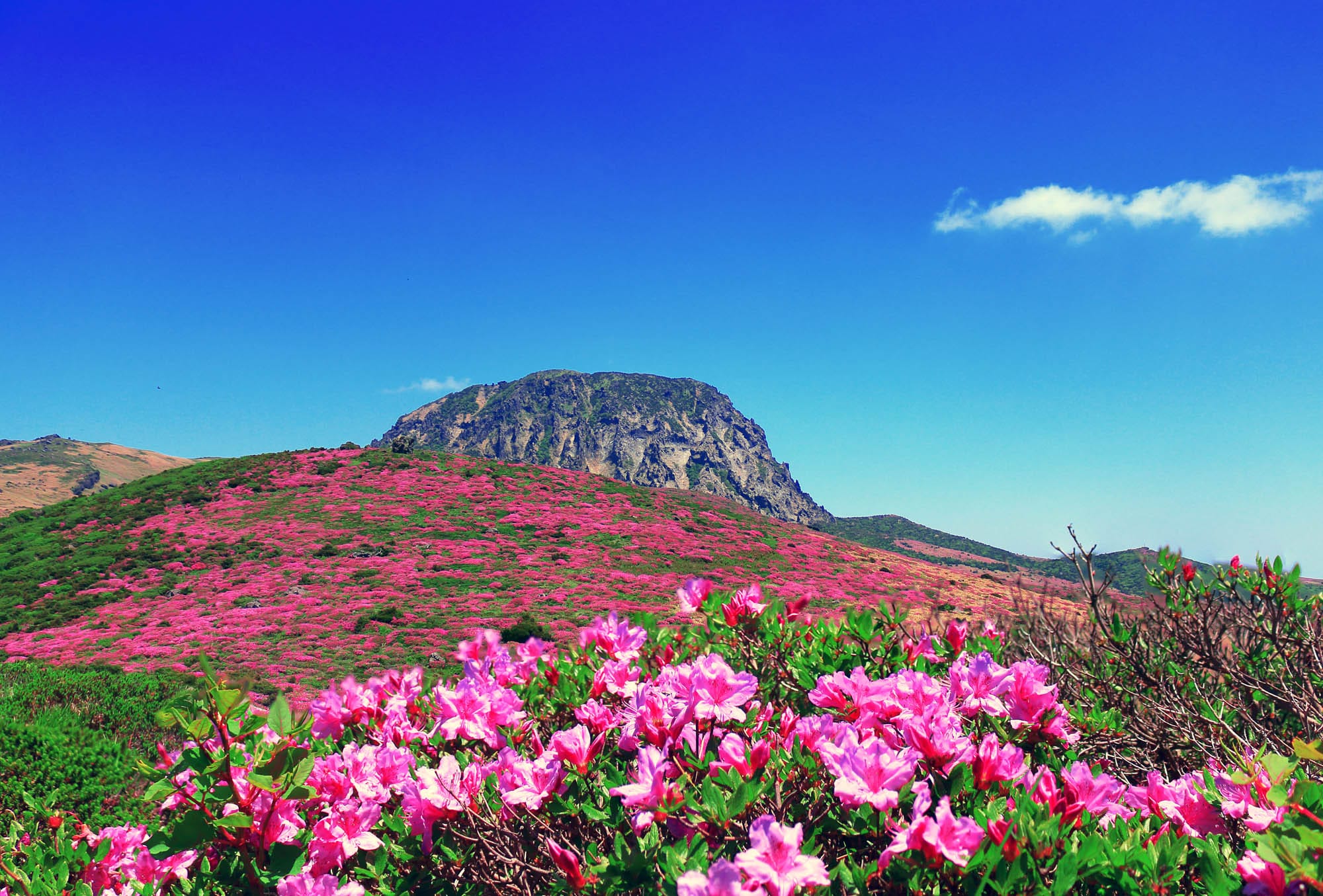 Der Vulkan Hallasan prägt das Bild der Insel und ist mit einer Höhe von 1950 Metern der höchste Berg Südkoreas.