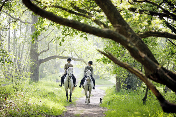 Großbritannien - Ausritt in Wimbledon