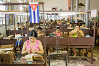 Kuba Zigarrenmanufaktur