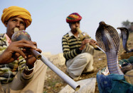 Schlangenbeschwörer in Indien