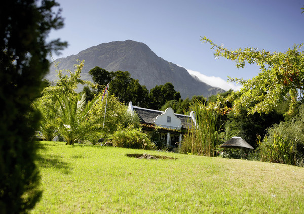 Weingebiet in Südafrika